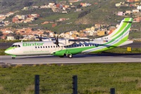 Miguel A. gueda Rguez.  (CANARY ISLANDS SPOTTING). Haz click para ampliar