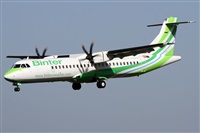 Alfonso Sols - Asociacin Canary Islands Spotting. Click to see full size photo