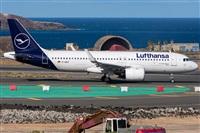 Adolfo Bento - Gran Canaria Spotters. Haz click para ampliar
