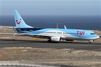 ©Alfonso Solís - Asociación Canary Islands Spotting. Click to see full size photo ©Alfonso Solís - Asociación Canary Islands Spotting. Click to see full size photo