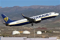 ©Alfonso Solís - Asociación Canary Islands Spotting. Click to see full size photo ©Alfonso Solís - Asociación Canary Islands Spotting. Click to see full size photo