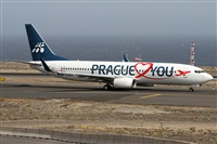 ©Alfonso Solís - Asociación Canary Islands Spotting. Click to see full size photo ©Alfonso Solís - Asociación Canary Islands Spotting. Click to see full size photo