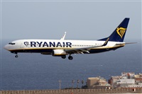 Alfonso Sols - Asociacin Canary Islands Spotting. Haz click para ampliar