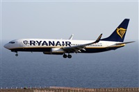 Alfonso Sols - Asociacin Canary Islands Spotting. Haz click para ampliar