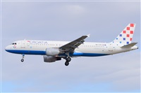 Miguel A. gueda Rguez.  (CANARY ISLANDS SPOTTING). Click to see full size photo