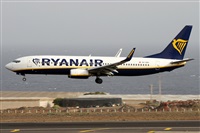 Alfonso Sols - Asociacin Canary Islands Spotting. Haz click para ampliar