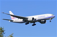 Miguel A. gueda Rguez.  (CANARY ISLANDS SPOTTING). Haz click para ampliar