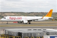 Alfonso Sols - Asociacin Canary Islands Spotting. Haz click para ampliar