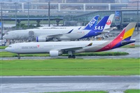 Miguel A. gueda Rguez.  (CANARY ISLANDS SPOTTING). Click to see full size photo