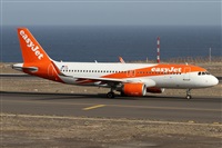 ©Alfonso Solís - Asociación Canary Islands Spotting. Click to see full size photo ©Alfonso Solís - Asociación Canary Islands Spotting. Click to see full size photo