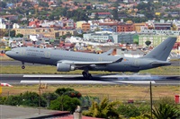Miguel A. gueda Rguez.  (CANARY ISLANDS SPOTTING). Click to see full size photo