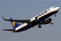 ©Alfonso Solís - Asociación Canary Islands Spotting. Click to see full size photo ©Alfonso Solís - Asociación Canary Islands Spotting. Click to see full size photo