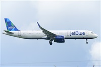 Miguel A. gueda Rguez.  (CANARY ISLANDS SPOTTING). Click to see full size photo