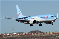 Alfonso Sols - Asociacin Canary Islands Spotting. Click to see full size photo
