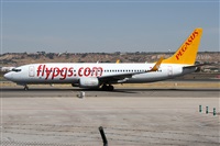 �Alfonso Sol�s - Asociaci�n Canary Islands Spotting. Click to see full size photo