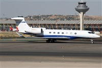 ©Alfonso Solís - Asociación Canary Islands Spotting. Click to see full size photo ©Alfonso Solís - Asociación Canary Islands Spotting. Click to see full size photo
