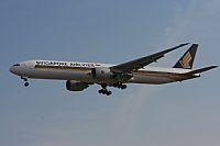 Jos Miguel Bernases - Noisy Spotters. Click to see full size photo