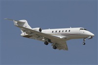 Jos Miguel Bernases - Noisy Spotters. Click to see full size photo