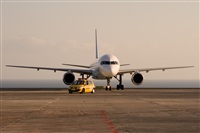 Javier de la Cruz - CANARY ISLANDS SPOTTING. Haz click para ampliar