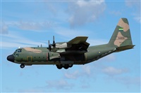scar Laborda Snchez - IBERIAN SPOTTERS. Click to see full size photo