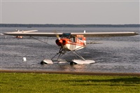 Javier de la Cruz - CANARY ISLANDS SPOTTING. Click to see full size photo