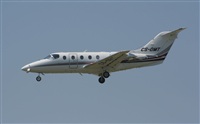 Guillem Ramonet - Iberian Spotters. Click to see full size photo