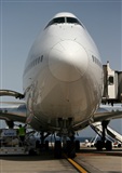 Adrin Alonso Lemes - Lanzarote Spotters. Click to see full size photo