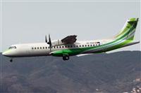 La Roche Spotters. Click to see full size photo