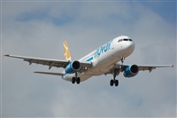 Chalo Canary Islands Spotting. Click to see full size photo