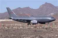 Alfonso Sols - Asociacin Canary Islands Spotting. Haz click para ampliar