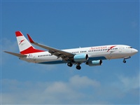 Chalo Canary Islands Spotting. Click to see full size photo