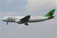 Rodrigo Carvalho - Noisy Spotters. Click to see full size photo