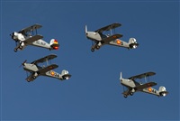 Moga Ral Viorel. Click to see full size photo