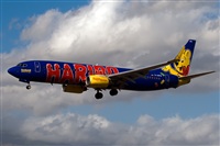 Javier de la Cruz - CANARY ISLANDS SPOTTING. Haz click para ampliar