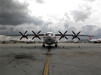 Click here to see full size photo