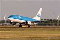 Javier de la Cruz - CANARY ISLANDS SPOTTING. Click to see full size photo