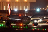 Rubn Gil - Noisy Spotters. Click to see full size photo