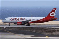 ©Alfonso Solís - Asociación Canary Islands Spotting. Click to see full size photo ©Alfonso Solís - Asociación Canary Islands Spotting. Click to see full size photo
