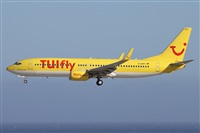©Alfonso Solís - Asociación Canary Islands Spotting. Click to see full size photo ©Alfonso Solís - Asociación Canary Islands Spotting. Click to see full size photo
