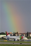 Rui Alves - Madeira Spotters. Click to see full size photo