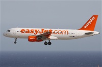 Alfonso Sols - Asociacin Canary Islands Spotting. Haz click para ampliar