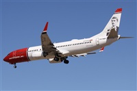 Alfonso Sols - Asociacin Canary Islands Spotting. Click to see full size photo