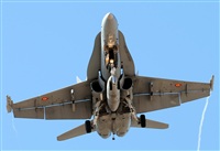 ©Alejandro H.L - Gran Canaria Spotters. Click to see full size photo ©Alejandro H.L - Gran Canaria Spotters. Click to see full size photo