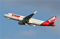 Naoto Goto - South American Spotters Asu-Py. Click to see full size photo
