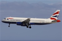 ©Alfonso Solís - Asociación Canary Islands Spotting. Click to see full size photo ©Alfonso Solís - Asociación Canary Islands Spotting. Click to see full size photo