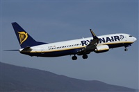 ©Alfonso Solís - Asociación Canary Islands Spotting. Click to see full size photo ©Alfonso Solís - Asociación Canary Islands Spotting. Click to see full size photo
