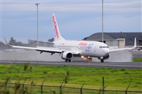 Miguel A. gueda Rguez.  (CANARY ISLANDS SPOTTING). Click to see full size photo
