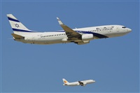 Miguel A. gueda Rguez.  (CANARY ISLANDS SPOTTING). Click to see full size photo