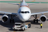 Miguel Alia - Noisy Spotters. Click to see full size photo