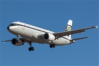 Bartolom Fernndez - Gran Canaria Spotters. Click to see full size photo